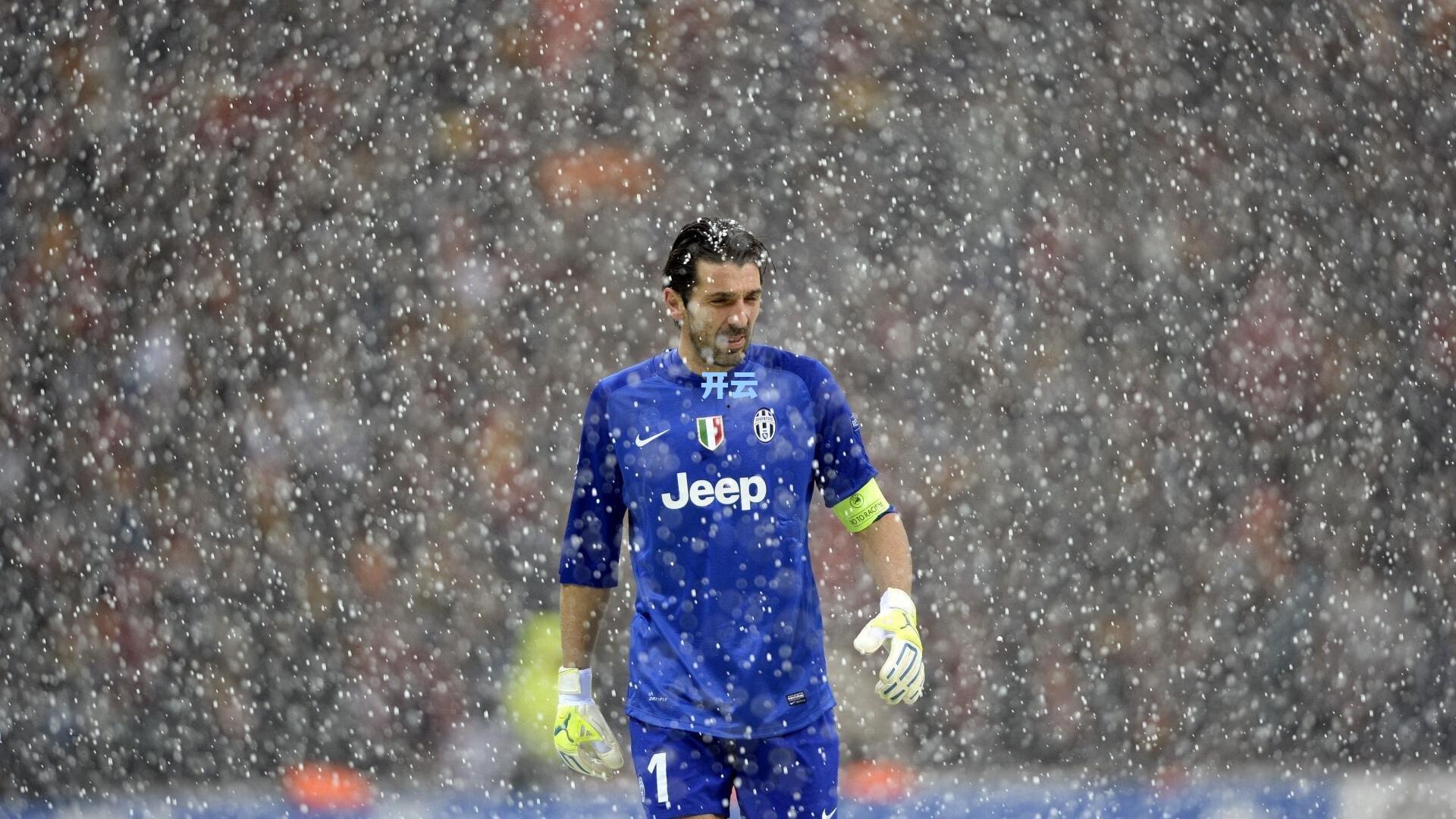 绿茵场变涂鸦墙?足球趣味漫画风波,主帅科学护林计划意外引发球迷论战